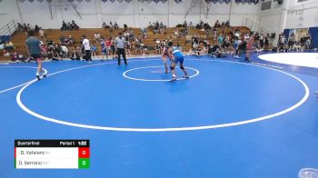 100 lbs Quarterfinal - Dakota Vatalaro, Spring Hills vs Daniel Serrano, Dethrone