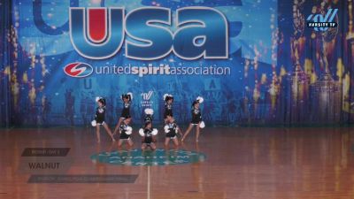 Walnut - Walnut [2025 Dance/Pom Championship Small Day 2] 2025 USA Dance Nationals