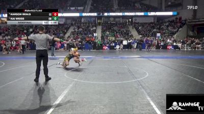 96 lbs Semifinal - Kai Weiss, Open Mats vs Karson Beals, Clay County