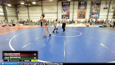 100 lbs Rd# 8- 12:30pm Saturday Final Pool - Cole Organiscak, PA Blue vs Sullivan Mcnair, NCWAY National Team