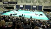 Zionsville Community HS "Zionsville IN" at 2026 WGI Perc/Winds Dayton Regional+