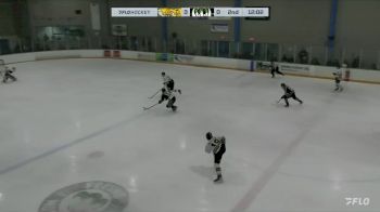 Replay: Home - 2024 Sabers vs Monsters | Jan 11 @ 7 PM