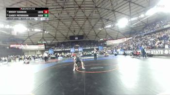 Boys 4A 132 lbs Champ. Round 1 - Brody Hanson, Lake Stevens vs Casey Peterson, Jackson