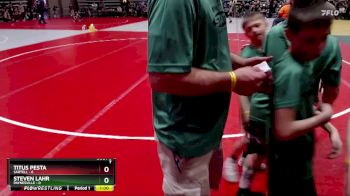 50 lbs Semis & 1st Wrestleback (8 Team) - Titus Pesta, Sartell vs Steven Lahr, Paynesville