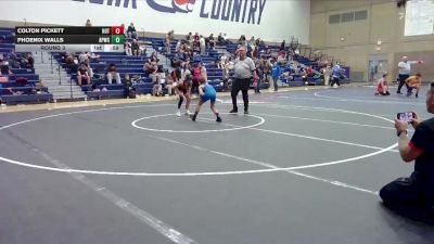 81-89 lbs Round 3 - Phoenix Walls, All- Phase Wrestling Club vs Colton Pickett, HotShots