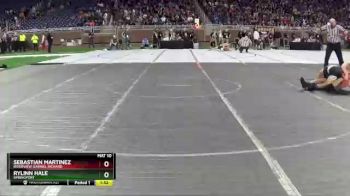 D4-145 lbs Champ. Round 1 - Sebastian Martinez, Riverview Gabriel Richard vs Rylinn Hale, Springport