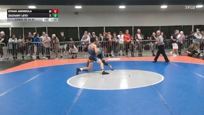 113 lbs Consi Of 64 #1 - Ethan Andreula, NY vs Zachary Leto, FL