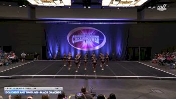 DCA Cheer and Tumbling - Black Diamonds [2026 L4 Senior Coed - D2 Day 1] 2026 Cheer Power Showdown