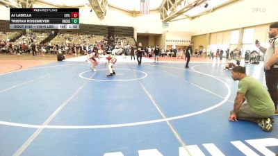 115-H lbs Semifinal - AJ LaBella, Sayville vs Tristan Rosemeyer, Orchard South WC
