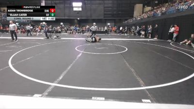 125 lbs Cons. Round 2 - Aidan Trowbridge, Concordia (Neb.) vs Elijah Cater, Grand View (Iowa)