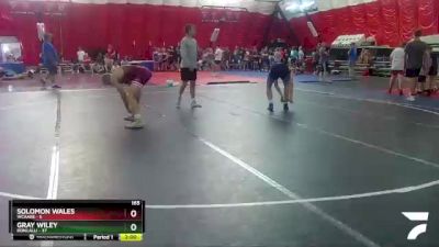 165 lbs Round 3 (4 Team) - Gray Wiley, Roncalli vs Solomon Wales, WCAABE