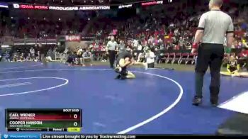 3 lbs Champ. Round 1 - Cooper Hanson, Southeast Polk vs Cael Wiener, Ankeny Centennial