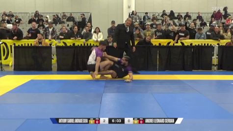 Andrei Leonard Serban vs Anthony Gabriel Andrade Silva 2024 World IBJJF Jiu-Jitsu No-Gi Championship