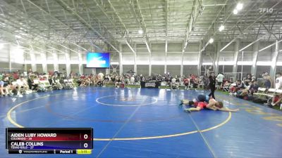 175 lbs Placement Matches (8 Team) - Aiden Luby Howard, Colorado vs Caleb Collins, Texas Gold