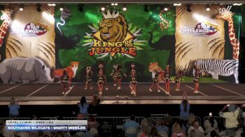 Southaven Wildcats - Mighty Missiles [2025 L1.1 Mini - PREP - D2] 2025 ASC King of the Jungle Nashville Showdown