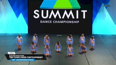 Blue Rose Dance Studio - Tiny Sunflower Contemporary [2025 Tiny - Contemporary/Lyrical Semis] 2025 The Dance Summit