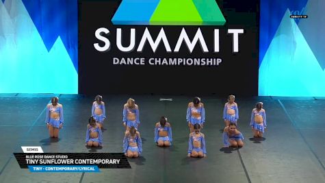 Blue Rose Dance Studio - Tiny Sunflower Contemporary [2025 Tiny - Contemporary/Lyrical Semis] 2025 The Dance Summit
