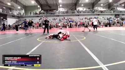 87 lbs Quarterfinal - Tevor Cole, Eierman Elite Wrestling Club vs Vincent Holsey, Victory Wrestling