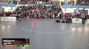 114 lbs Quarterfinal - Kinzie Williams, American Falls vs Josie Reed, Challis