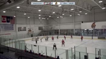 Replay: Home - 2024 Comets vs Spartans | Nov 15 @ 12 PM