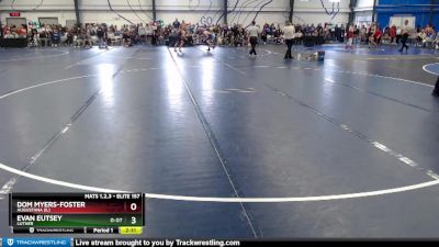 Elite 157 lbs Cons. Round 1 - Dom Myers-Foster, Augustana (IL) vs Evan Eutsey, Luther