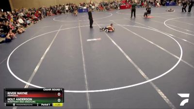 51-53 lbs Champ. Round 1 - River Wayne, Minnesota vs Holt Anderson, Rosemount Irish Wrestling