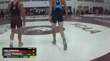 157 lbs Quarterfinal - Chance Throndson, Upper Iowa vs Tate Torgerson, Augsburg