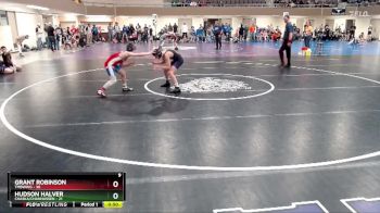 102 lbs Semis (4 Team) - Hudson Halver, Chaska/Chanhassen vs Grant Robinson, TMBWWG