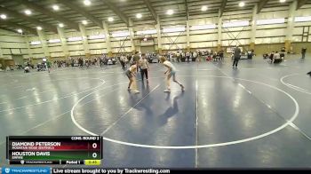 108 lbs Cons. Round 2 - Diamond Peterson, Mountain Ridge Sentinels vs Houston Davis, Empire