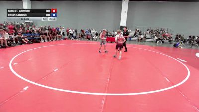 113 lbs Tate St. Laurent, Team Indiana Gold vs Cruz Gannon, Iowa