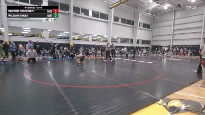 90 lbs Final - Vincent Tigeleiro, Florham Park vs William Diksa, Havertown