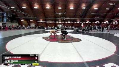 184 lbs Quarterfinal - James Sturek, Oswego State vs Xavier Pommells, Ithaca