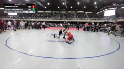 Round Of 16 - Andrew Brant, Lower Township vs Aydan Livelsberger, Hanover