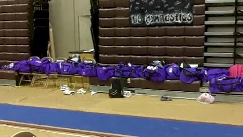 Brown (Michelle Shnayder)