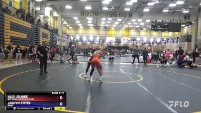 120 lbs Quarterfinal - Ally Jelinek, Big Game Wrestling Club vs Jaedyn Stites, Iowa
