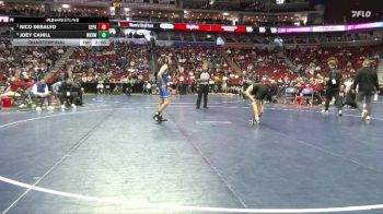 3A-113 lbs Quarterfinal - Nico DeSalvo, Southeast Polk vs Joey Cahill, Waukee Northwest