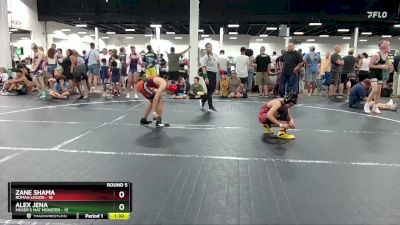 96 lbs Round 5 (6 Team) - Zane Shama, Roman Legion vs Alex Jena, Moser`s Mat Monster