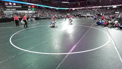 126 lbs Semis - Liam Carey, Mineral Point vs Parker Spierings, Brillion