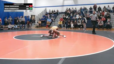 139 lbs Consy 1 - Ethan Radkowski, Avonworth vs Noah Somerville, Greensburg Salem