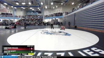 106 lbs Quarterfinal - Greyson Molina, Minico vs Saxton Scott, Bonneville