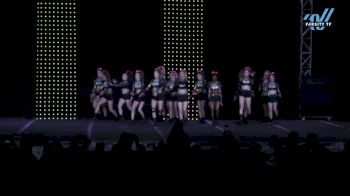 Wicked Elite - Savage [2025 L3 Senior Coed Day 1] 2025 ASC King of the Jungle Schaumburg Showdown