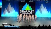 Dancin with Roxie - Bird Set Free [2025 Youth - Contemporary/Lyrical - Small Finals] 2025 The Dance Summit