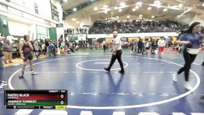 120 lbs Semifinal - Mateo Black, Homedale vs Andrew Forrest, Nampa Christian