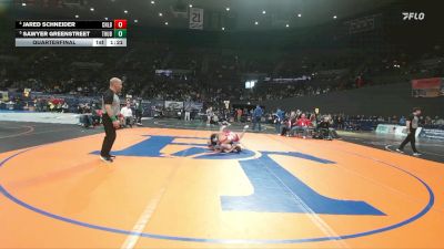 5A Boys 157 lbs Quarterfinal - Sawyer Greenstreet, Thurston Boys vs Jared Schneider, Centennial Boys