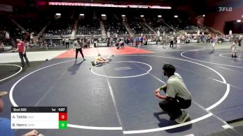 95 lbs Final - Ayden Tokita, East Idaho Elite vs Breckin Henry, Camel Kids WC