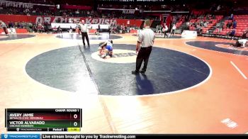 2A 113 lbs Champ. Round 1 - Victor Alvarado, Chicago (Kennedy) vs Avery Jamie, Bethalto (Civic Memorial)