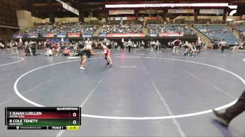174 lbs Quarterfinal - 1 Isaiah Luellen, Grand View vs 8 Cole Tenety, Reinhardt