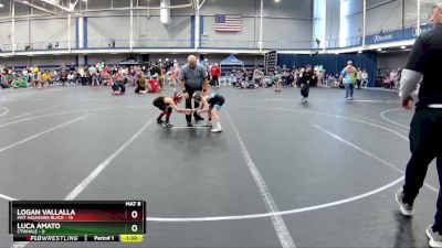 64 lbs Finals (2 Team) - Luca Amato, CTWHALE vs Logan Vallalla, Mat Assassins Black