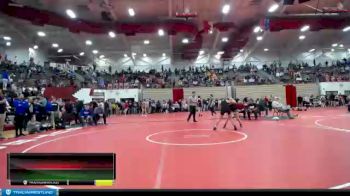 109 lbs Quarterfinal - Ali Green, Manchester vs Ayla Stevenson, Franklin Wrestling Club