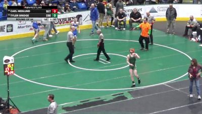 124 lbs Round Of 64 - Cael Hedlund, Wattsburg vs Tyler Bridge, Somerset